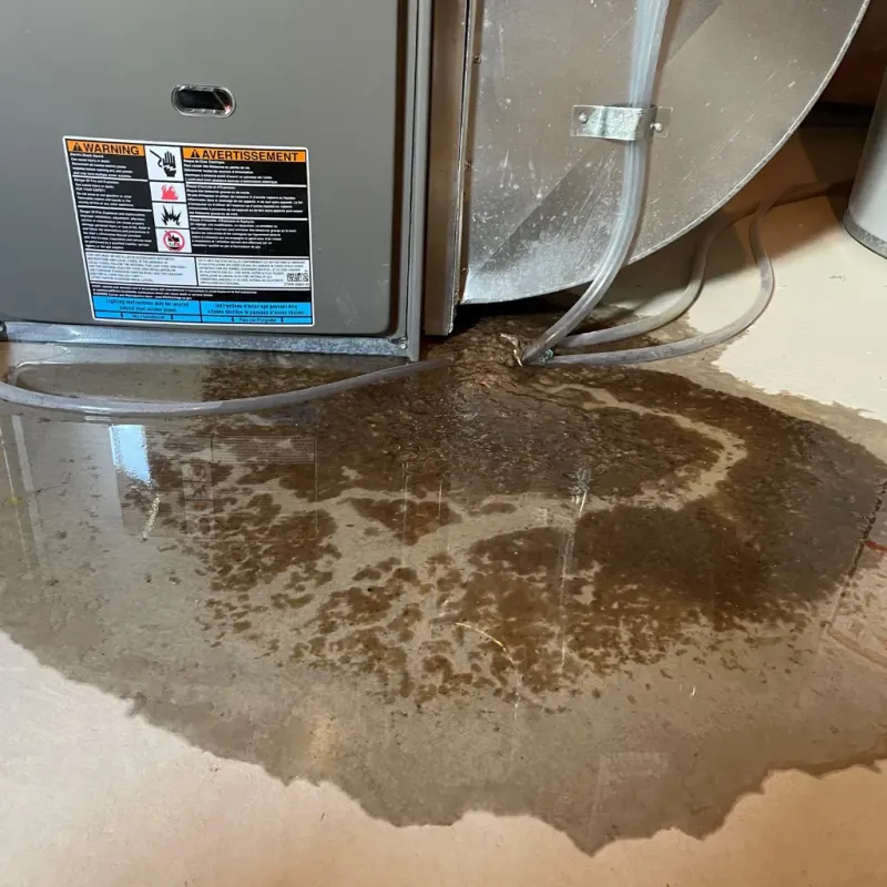 Appliance Leak Cleanup in Long Lake, MN