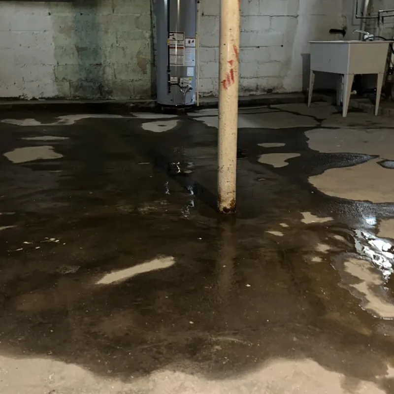 Emergency Water Extraction And Removal in Long Lake, MN